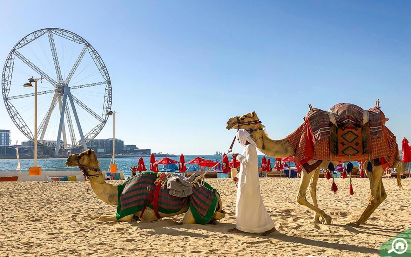 Appartement Shams 2 Bedrooms On Jbr By Happy Season Dubaï